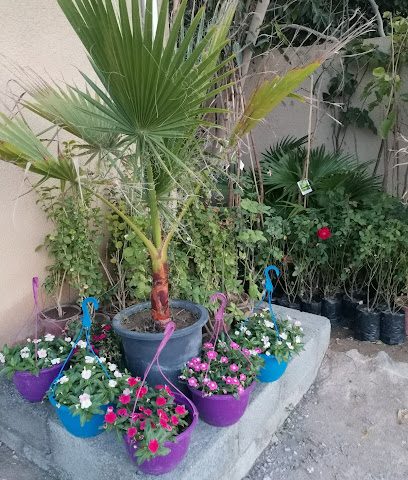 مشتل سراج مجان - Nizwa - +968 9403 6090
