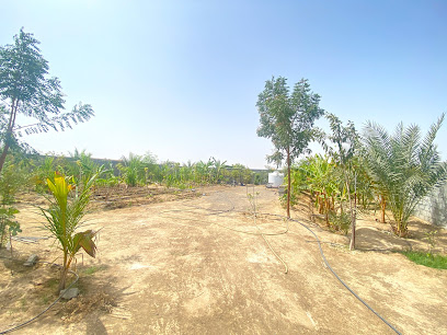 Saleh alhatmi garden - Tawi Bedi Guish -