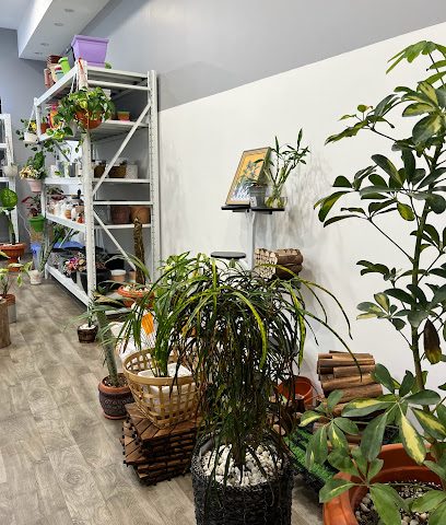 Urbanfarm.om - Seeb - +968 9880 4933