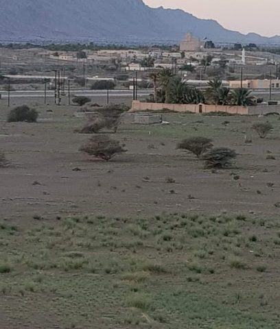 Hafeet motel - Bu Baqara - +968 9807 4752