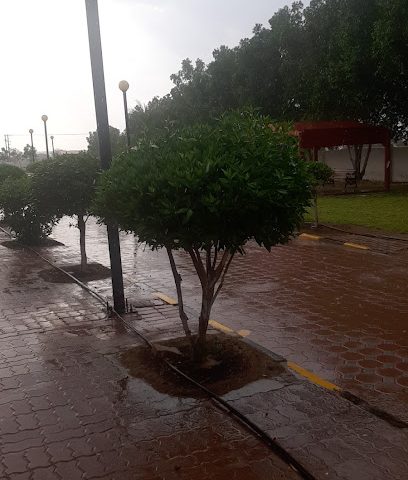 حديقة الخالدية - Romail -